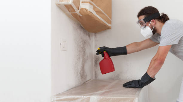 Professional Attic Mold Removal technician working in Arlington, NY