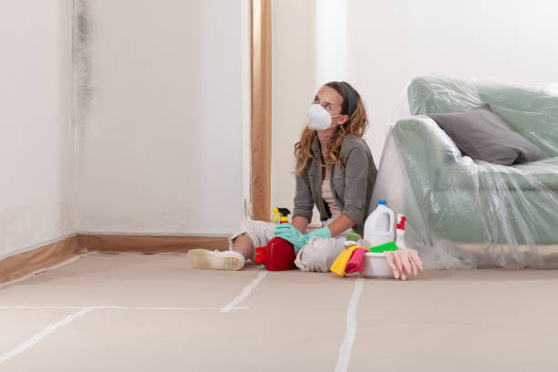 Reliable Attic Mold Removal contractor in Arlington, NY by WQB Mold Removal